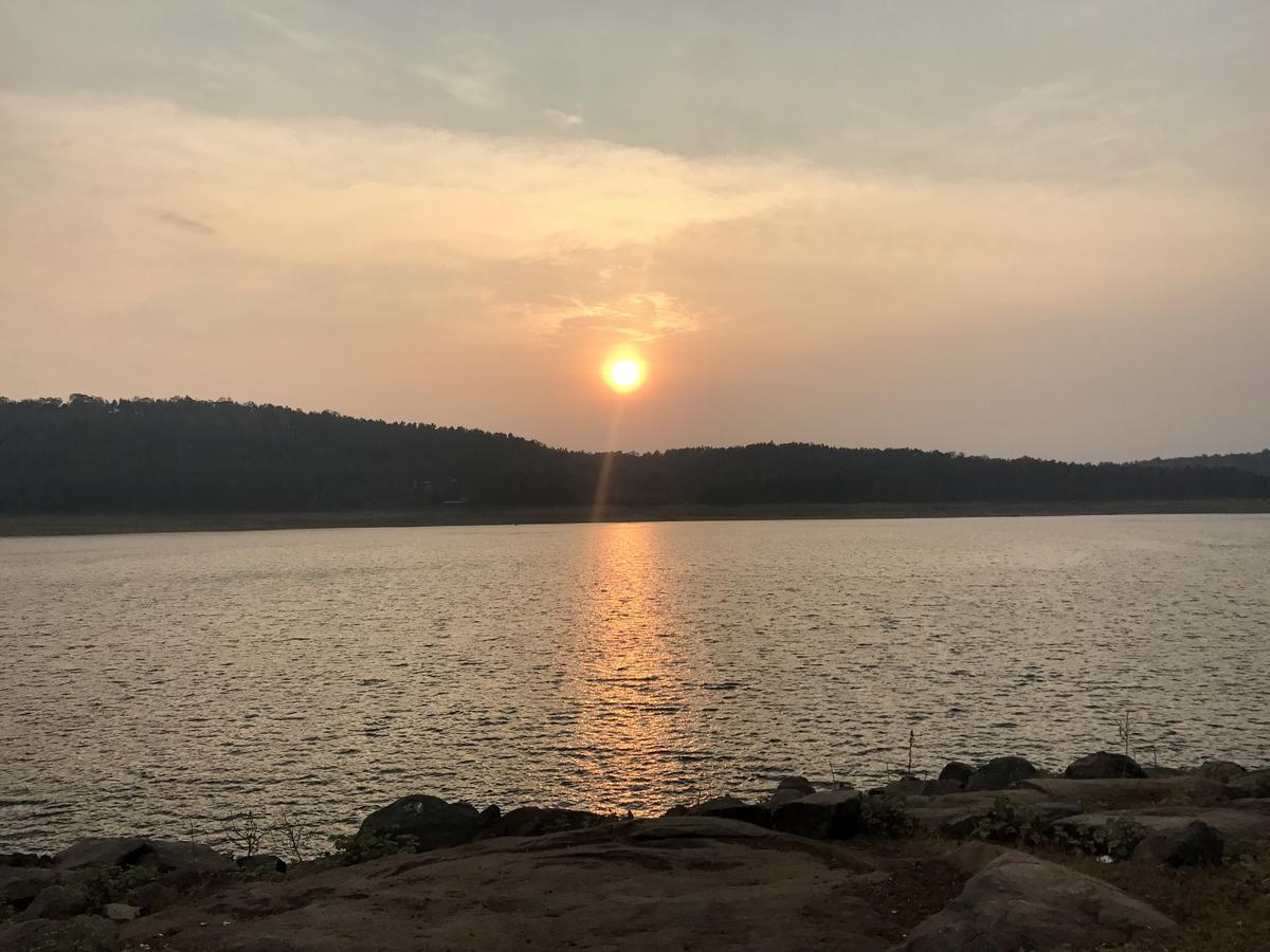 Coorg Jungle Camp Resort Suntikoppa Экстерьер фото